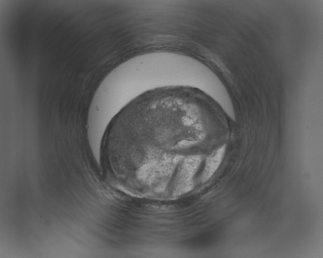 X0000073390073200608181014