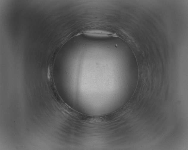 X0000073390075200608181014