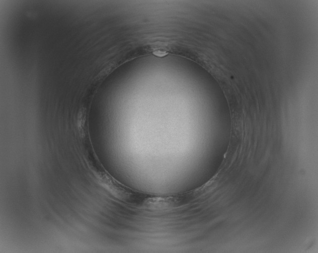 X0000073390082200608181014