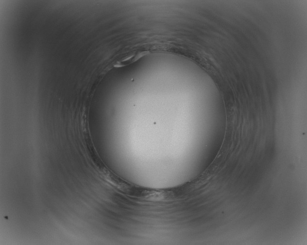 X0000073390083200608181014