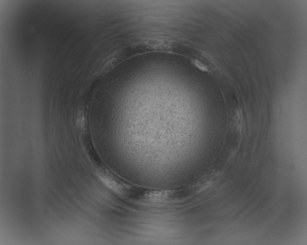 X0000073390084200608181014
