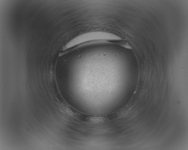 X0000073390085200608181014