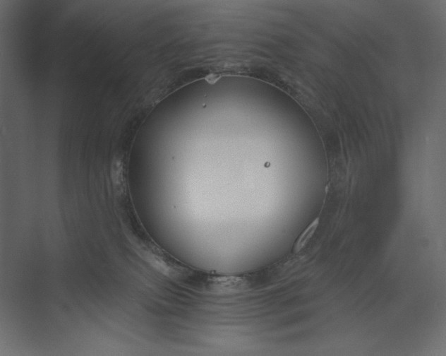 X0000073390087200608181014