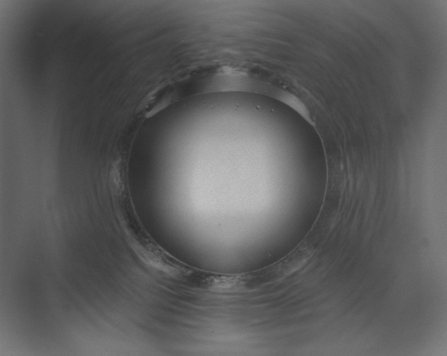 X0000073390088200608181014