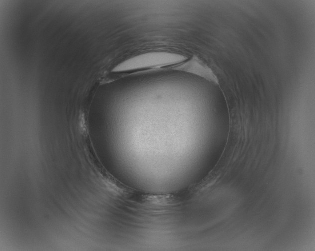 X0000073390089200608181014
