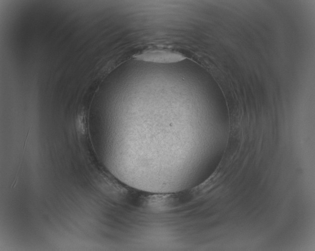 X0000073390090200608181014