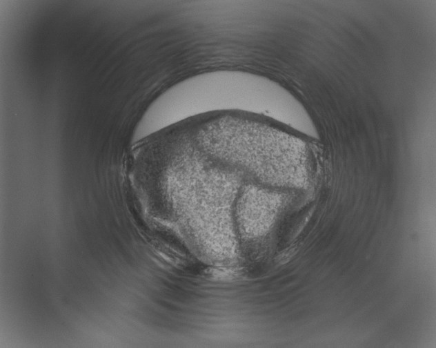 X0000073390093200608181014
