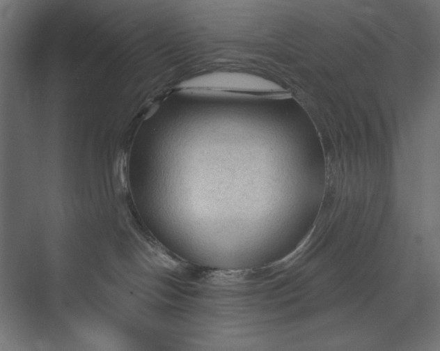 X0000073390094200608181015