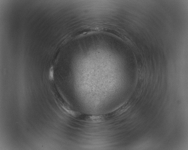 X0000073390095200608181015