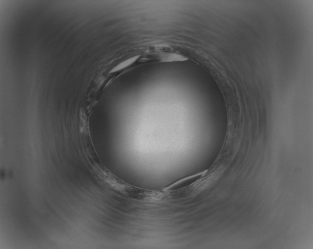 X0000073390096200608181015