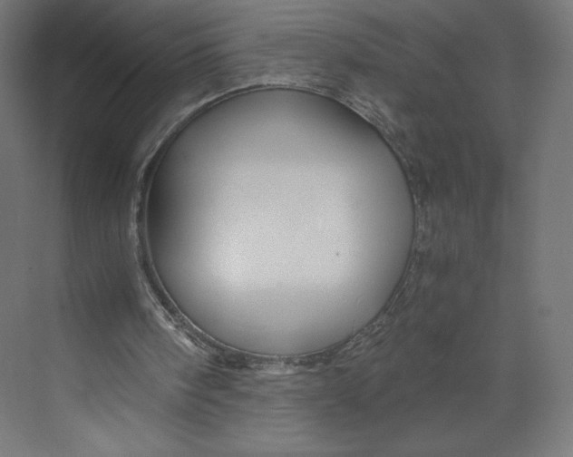X0000073390098200608181014