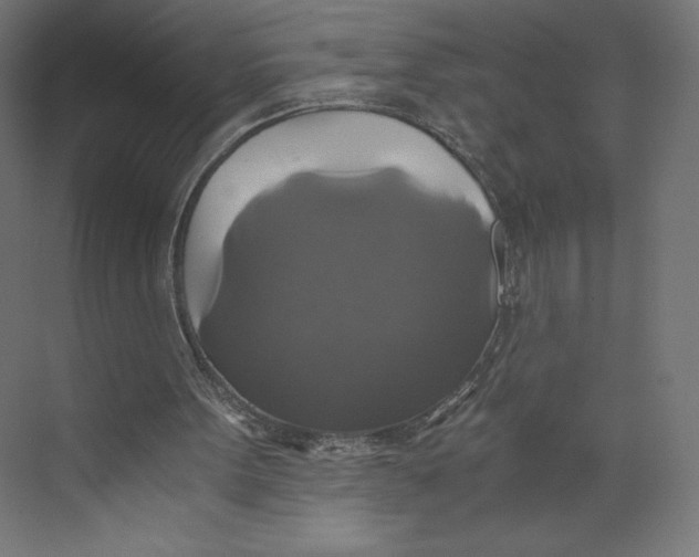 X0000073390099200608181014