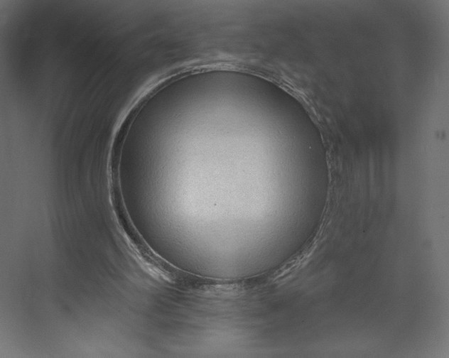 X0000073390102200608181014