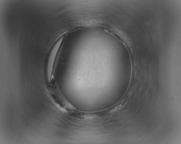 X0000073390105200608181014