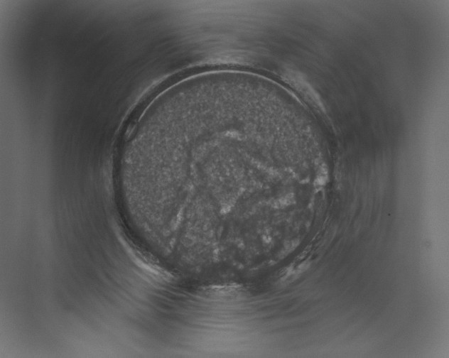 X0000073390108200608181014