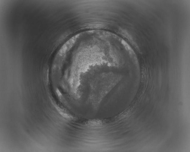 X0000073390110200608181014