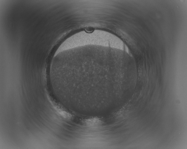 X0000073390112200608181013