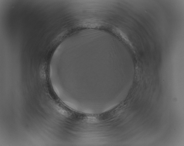 X0000073390114200608181013