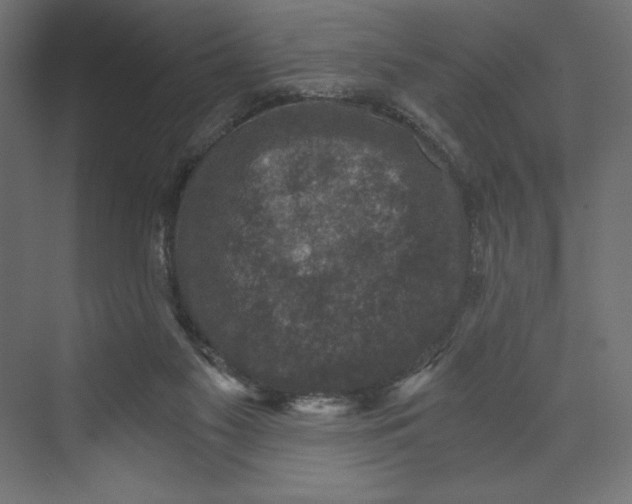 X0000073390117200608181013