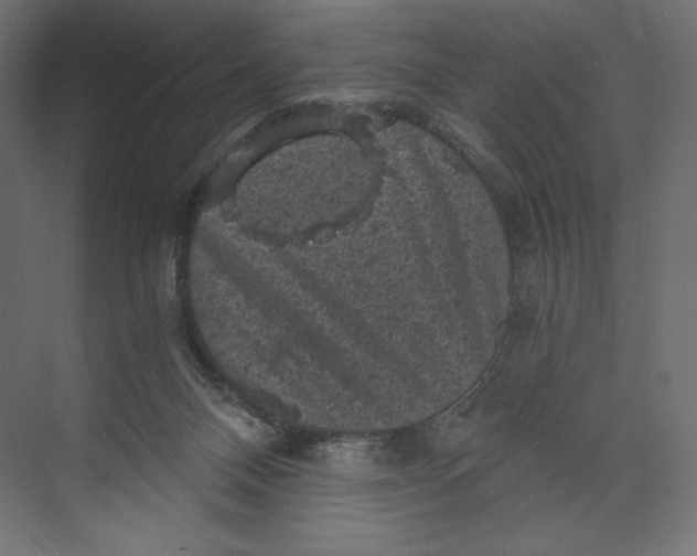 X0000073390120200608181013