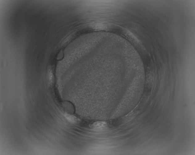 X0000073390124200608181013