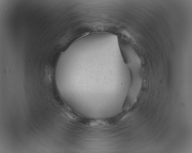 X0000073390125200608181013