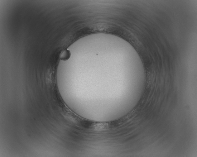 X0000073390126200608181013