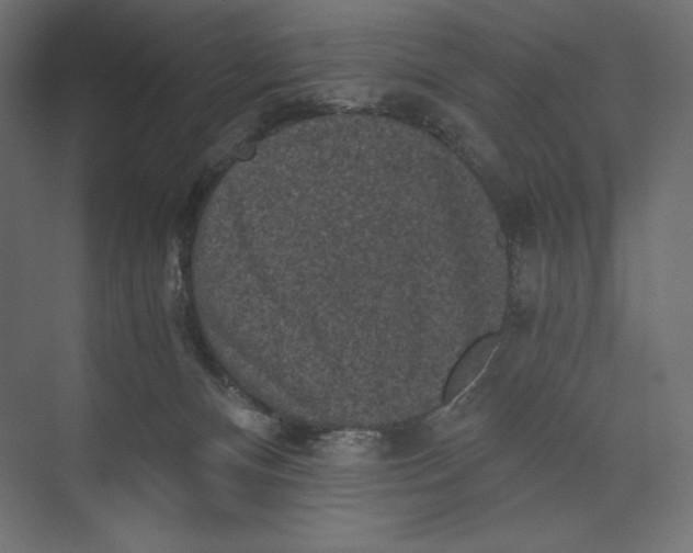 X0000073390128200608181013