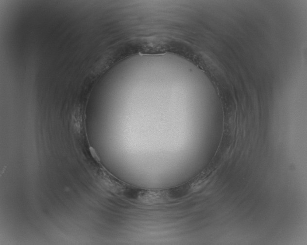 X0000073390129200608181013