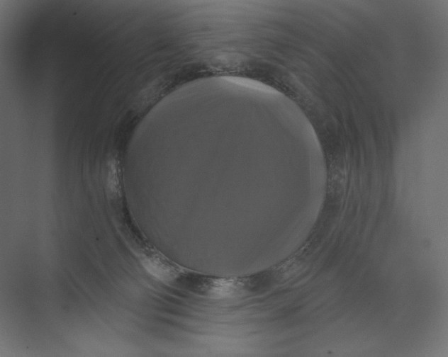 X0000073390130200608181013