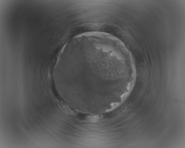 X0000073390131200608181013