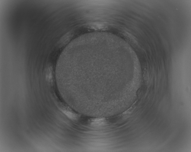 X0000073390132200608181013