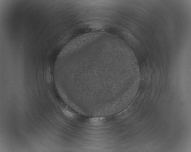 X0000073390136200608181013