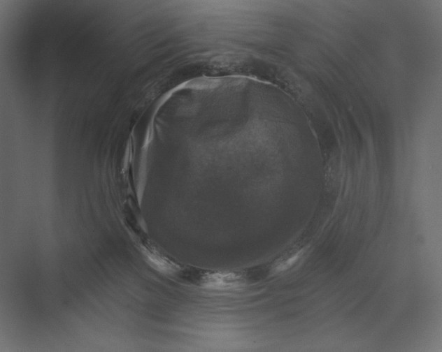 X0000073390137200608181013