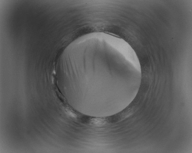X0000073390139200608181013