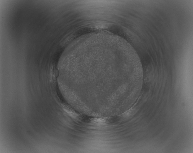 X0000073390140200608181013