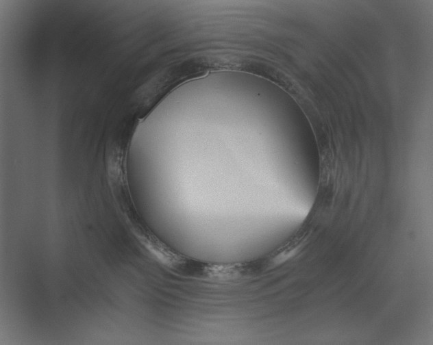 X0000073390141200608181013