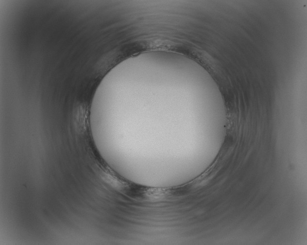 X0000073390142200608181013
