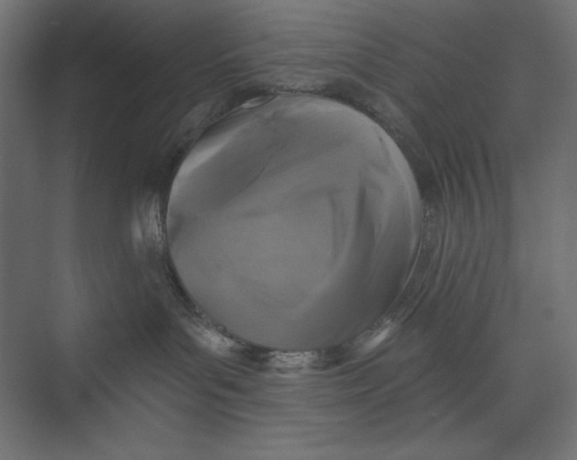 X0000073390143200608181013