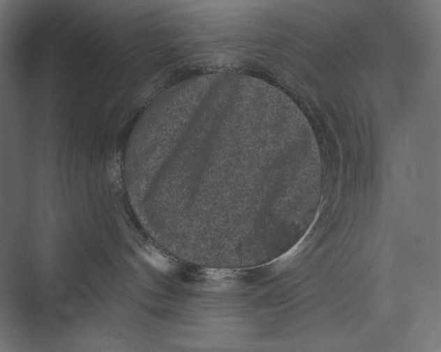X0000073390144200608181013