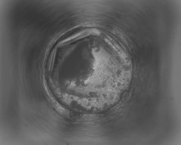 X0000073390145200608181012