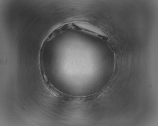X0000073390148200608181012