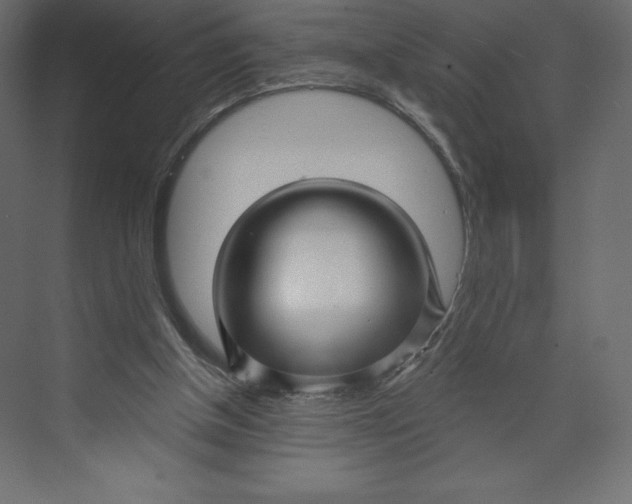 X0000073390154200608181012