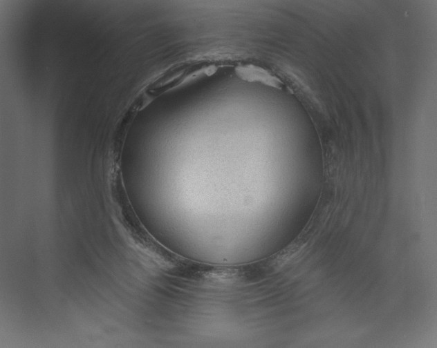 X0000073390164200608181012