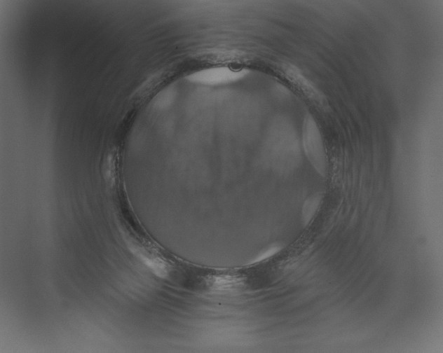 X0000073390165200608181012
