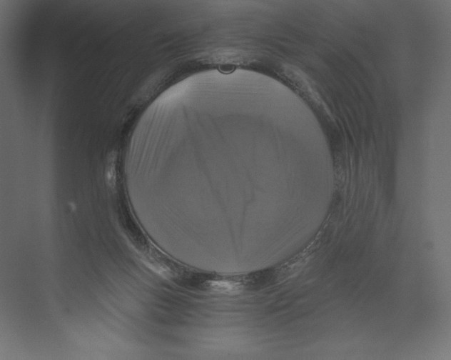 X0000073390167200608181012