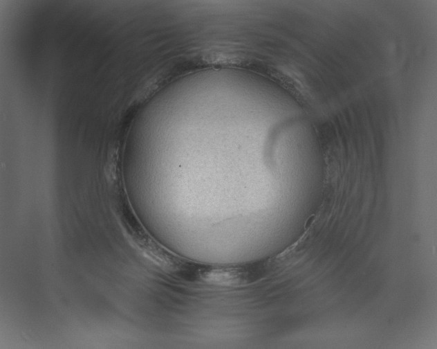X0000073390171200608181013