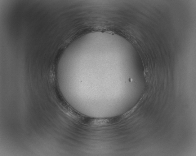 X0000073390179200608181013