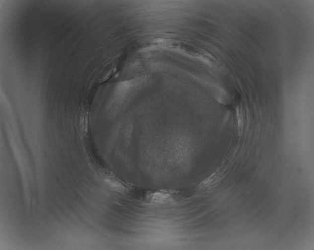 X0000073390180200608181013