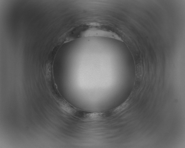 X0000073390184200608181013